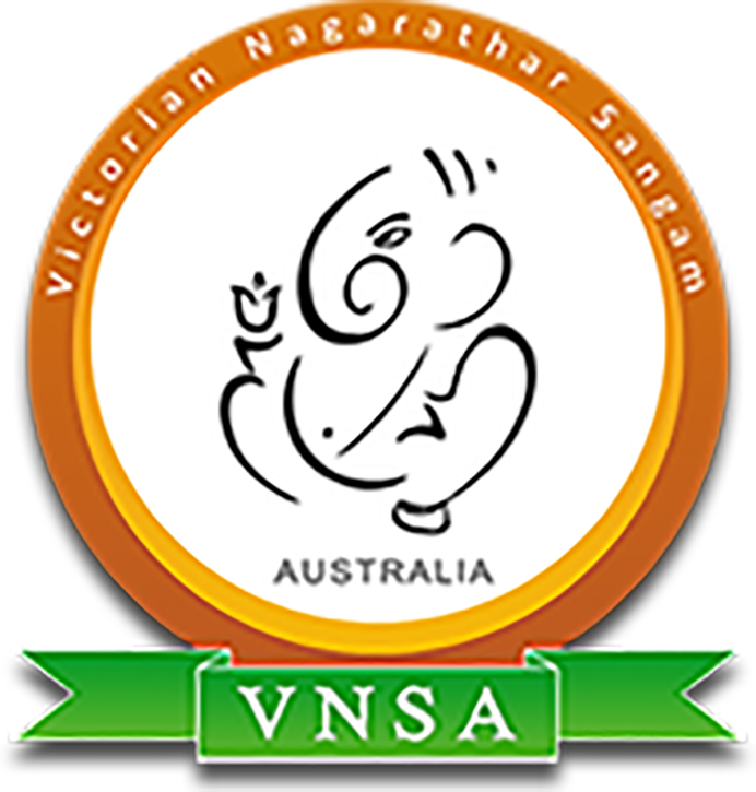 VNSA LOGO